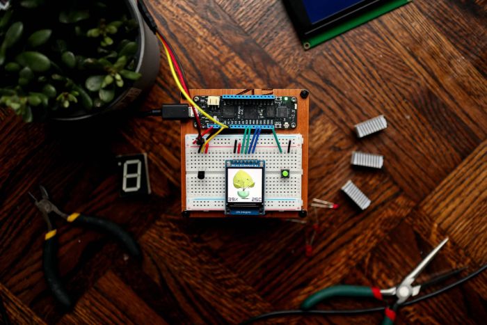 LUGN108 - dinsdag 10 augustus 2021