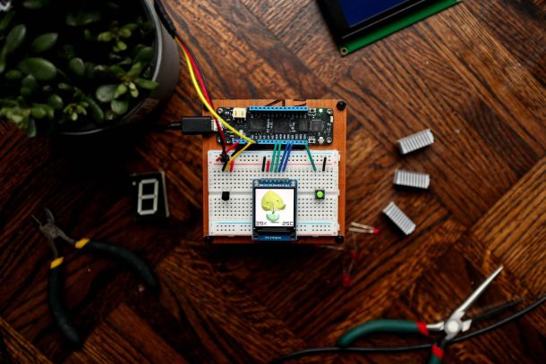 LUGN108 - dinsdag 10 augustus 2021